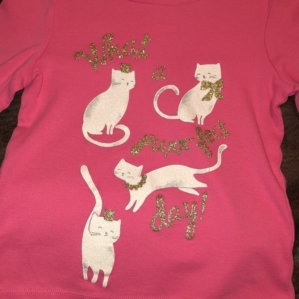 5/$25 Gymboree size 4 pink long sleeve shirt. Cat graphic - Picture 2 of 7